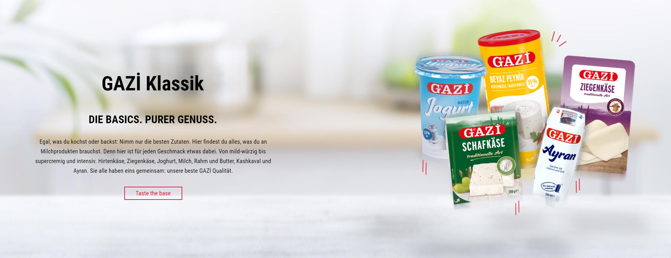 GAZI_website_01